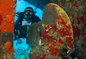 PADI Underwater Archaeology Diver Distinctive Course 2